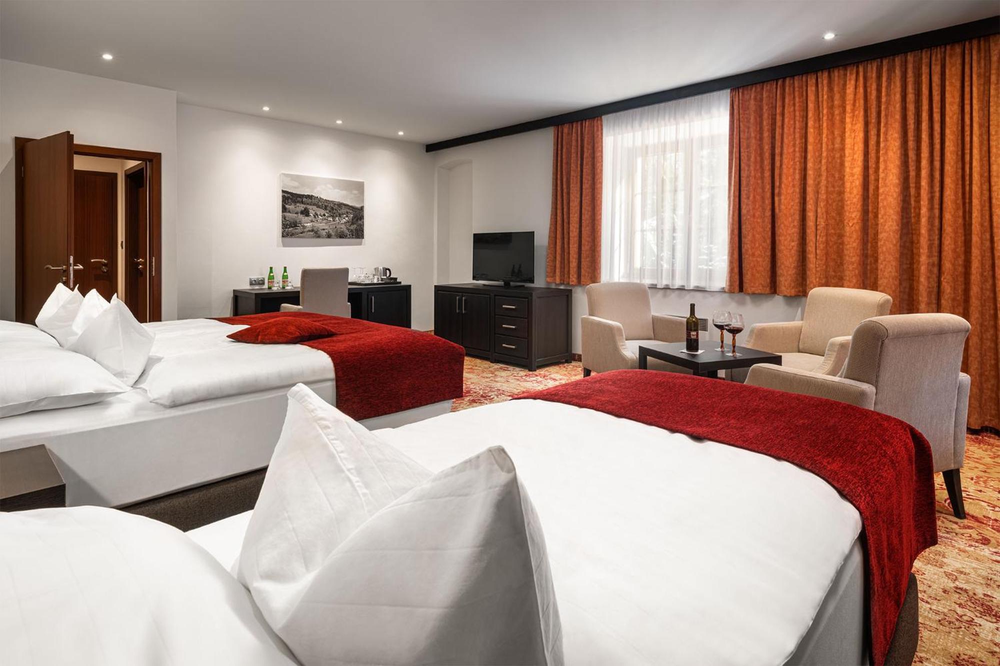 Hotel Singer Ludvíkov Habitación foto